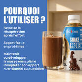 Shake Protein - Ready to drink saveur Chocolat