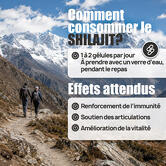 Shilajit - 90 gélules contenance A l'unité