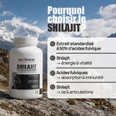 Shilajit - 90 gélules contenance A l'unité