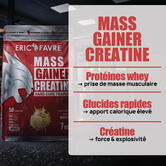 Mass Gainer Creatine flavour Cookie