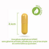 Vitamino Complex - 60 caps 