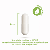 Digest+ 3Biotics contenido Una unidad