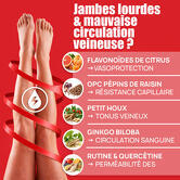 Veinaxyne - Circulation veineuse et lymphatique contenance A l'unité