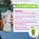 Boisson L-Carnitine saveur Mojito