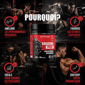 Pure Creatine 200 mesh - Créatine Pro 300 G saveur Naturel