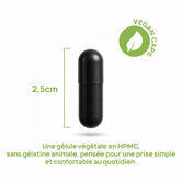 Brûleur De Graisse Iron Ultra Fat Burner saveur Naturel