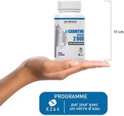 Carnitine Pro Zero - Acide Aminé