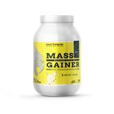 Mass Gainer Native Protein sabor Vainilla