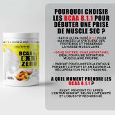 Pack Muscle Sec Starter 