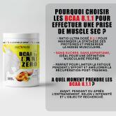 Pack Muscle Sec Pro Expert 