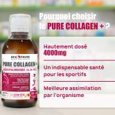 Pure Collagen + - Formule liquide 500 ml - Format éco saveur Pêche - Citron
