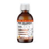 Pure Collagen + - Formule liquide 500 ml - Format éco