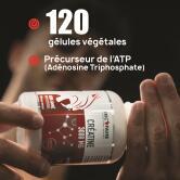 Monohidrato de creatina 3000 mg 