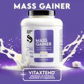 MASS GAINER VITAXTEND flavour Vanilla
