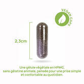 GlycéPlex-1 - Programme 30 jours perte de poids, All in One