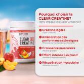 Clear Créatine lot Peach