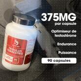 Tribulus - 90 caps contenance A l'unité