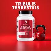 Tribulus contenido Una unidad