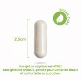 Collagène - 120 gélules végétales contenance A l'unité