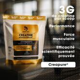 Créatine monohydrate CREAPURE contenance 500g
