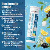 Metadhryne minceur & Hydratation saveur Citron Sureau