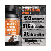 Mass Gainer X Tream flavour Chocolate