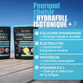 Hydrafull Isotonique + Endurance et performance saveur Citron